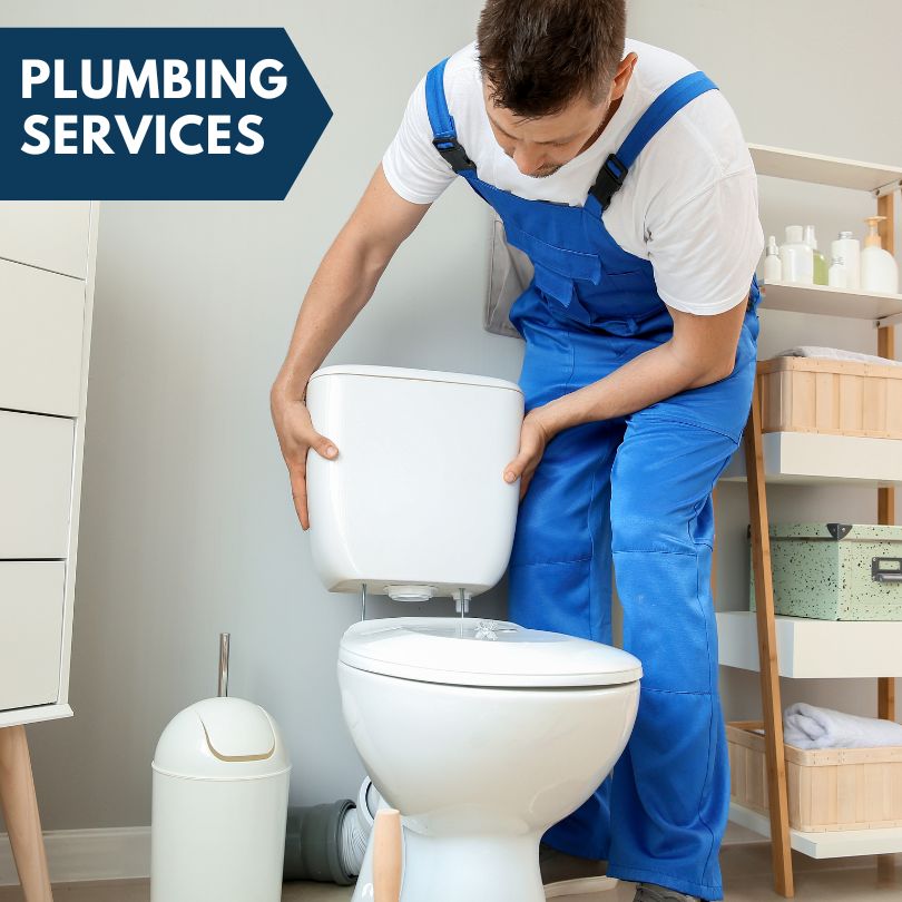 Plumbing Company in Flanagan, IL